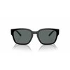 Akiniai ARNETTE AN4325-291081. Akiniai przeciwsłoneczne, Kolor juoda. Mężczyzna.