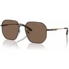 Vyriški akiniai nuo saulės Emporio Armani EA 2154D