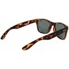 Vyriški akiniai nuo saulės Superdry SDS-ALFIE 55102P