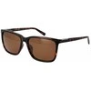 Vyriški akiniai nuo saulės Timberland TB9280-H 5952H