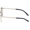 Akiniai WEB EYEWEAR WE0242-5316X. Akiniai przeciwsłoneczne, Kolor pilka. Unisex.