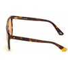 Akiniai WEB EYEWEAR WE0263-5956J. Akiniai przeciwsłoneczne, Kolor ruda. Unisex.
