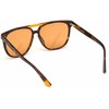 Akiniai WEB EYEWEAR WE0263-5956J. Akiniai przeciwsłoneczne, Kolor ruda. Unisex.