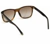 Vyriški akiniai nuo saulės WEB EYEWEAR