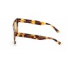 Akiniai WEB EYEWEAR WE0315-0041F. Akiniai przeciwsłoneczne, Kolor geltona. Mężczyzna.