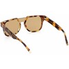 Akiniai WEB EYEWEAR WE0315-0041F. Akiniai przeciwsłoneczne, Kolor geltona. Mężczyzna.