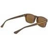 Vyriški akiniai nuo saulės Web Eyewear WE0371 5856J