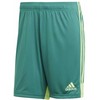 adidas M Tastigo 19 Šortai DP3251