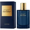 Davidoff Cool Eliksyras Parfum Intense PP kvepalai vyrams, 100 ml