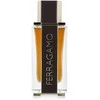 Salvatore Ferragamo Ferragamo Ferragamo Spicy Leather PP kvepalai vyrams, 100 ml
