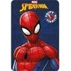 Marvel Spiderman polar blanket