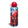 Žmogaus-voro tinklo aliuminio butelis 500 ml
