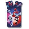 Žmogus-voras ir „Spidey Dark“ patalynės komplektas 140–200 cm, 70–90 cm