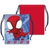 Žmogus-voras ir „Spidey Style“ pietų krepšys 26,5 cm