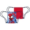 Žmogus-voras, „Spidey Style“ sportinis krepšys, 40 cm