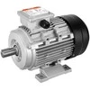 1.5KW 3 fazių elektros variklis, 3000RPM AC variklis žemės ūkio mašinoms, didelio greičio pramoninis variklis