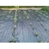 Agro plėvelė Skarden, 50 m