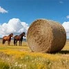Apvalaus rulono šieno tinklas, lėto šėrimo tinklas arkliams, konstrukcija be mazgų su taisymo rinkiniu, didelės talpos šieno tinklas, arklių šėrimo priedas, gyvulių priežiūros įranga