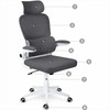 Biuro kėdė su tinklelio atlošu, ergonomišku dizainu, reguliuojamu aukščiu, supimo funkcija, patogus sėdėjimas namams ir biurui