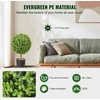 Dirbtinis buksmedis, Topiaras, Rutulys, Dekoratyvinis, Lauko, Vidaus
