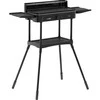 Elektrinis grilis stovas su briaunota plokšte, BBQ, vidaus/lauko, terasos grilis