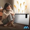 Elektrinis konvekcinis šildytuvas, su termostatu, nuotoliniu valdymu, 2400W, programuojamas, montuojamas ant sienos šildytuvas