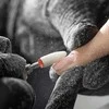 Frezavimo aparatas, manikiūrui ir pedikiūrui, profesionali elektrinė nagų dildė, galingas frezavimo aparatas su antgaliais, nešiojamas frezavimo aparatas akriliniams nagams