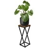 Gėlių stovas Loft Konel Rustic, juodo ąžuolo, 62 cm, augalų stovas, kambarinis stovas, gėlių lentyna