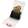 HSS-TIN grąžtų rinkinys 1-10 mm metalui, 19 vnt. metalo gręžimui