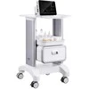 Laboratorijos vežimėlis, 2 aukštų riedantis vežimėlis su stalčiumi, mobilus medicininis vežimėlis klinikai, ligoninei, salonui, ABS medžiaga, tylūs ratukai