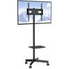 Laikiklis Mobilus TV stovas 23-60" televizoriams, reguliuojamas aukštis, su ratukais, kilnojamas, TV vežimėlis, stovas su laikikliu