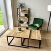 Lizdiniai kavos staliukai 2in1, industrinio stiliaus, juodi, komplektas 2vnt., lofto stiliaus, šoniniai staliukai, prie sofos