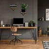 Loft stiliaus sieninis metalinis juodas gėlių vazonas, ąžuolo lentyna, pakabinamas vazonėlis, augalų laikiklis