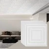 Lubų plytelės sienoms ir luboms, PVC lengvas montavimas, baltas taškuotas raštas, dekoratyvinės akustinės plytelės, 12 vienetų pakuotė 61 cm x 61 cm, interjero apdaila