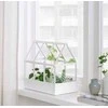 Mini medinis šiltnamis daigykla Ikea Senapskal, 0.29x0.3x0.18 m