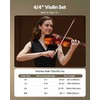 Pilno dydžio smuikas 355mm suaugusiems, pradedančiųjų smuiko rinkinys, profesionalus muzikos instrumentas, smuikas su stryku ir dėklu