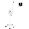 Šilto Garo Veido Garintuvas, su Aromaterapija ir Ozonu, Reguliuojamas Intensyvumas Grožio Salonui