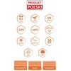 Sodo žarna, 6 sluoksnių 1/2 colio, 50 metrų, atspari UV spinduliams, patvari sodo vandens žarna, Lenkijoje pagaminta sodo žarna
