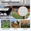 Vielos tinklas 1220x15240 mm, cinkuotas, 19 dydžio, vištidės tvora, PVC danga, triušių, gyvačių apsaugai, paukštidėms