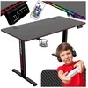 Žaidimų stalas elektrinis, RGB LED, 120 cm, reguliuojamas aukštis, ergonomiškas, kompiuterio stalas, žaidimų konsolės stalas