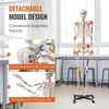 Žmogaus skeleto modelis anatomijai, 71,65 colio dydžio, tikslus PVC anatomijos skeleto modelis su raiščiais, judinamos rankos, kojos ir žandikaulis, su raumenų kilmės ir prisitvirtinimo taškais, skirtas profesionaliam mokymui