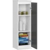 AKORD Kabintis su vitrina baltas/pilkas grafitas 30x30x140
