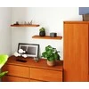 AKORD Sienos lentyna Olcha 60x20x4