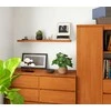 AKORD Sienos lentyna su alksniu 100x20x4