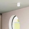 Sollux Lighting Lubinis šviestuvas INEZ baltas