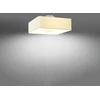 Sollux Lighting Lubinis šviestuvas LOKKO 45 baltas