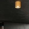 Sollux Lighting Lubinis šviestuvas MIKA aukso spalvos