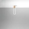 Sollux Lighting Lubinis šviestuvas PABLO baltas