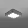 Sollux Lighting Lubinis šviestuvas RIZA concrete
