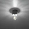 Sollux Lighting Lubinis šviestuvas SALGADO concrete